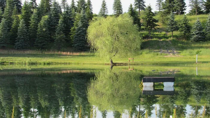 Hillside Campground 8