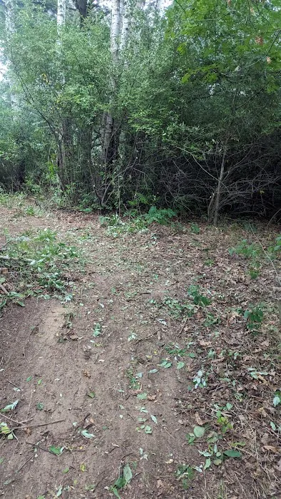 Braxton's Ranch 2