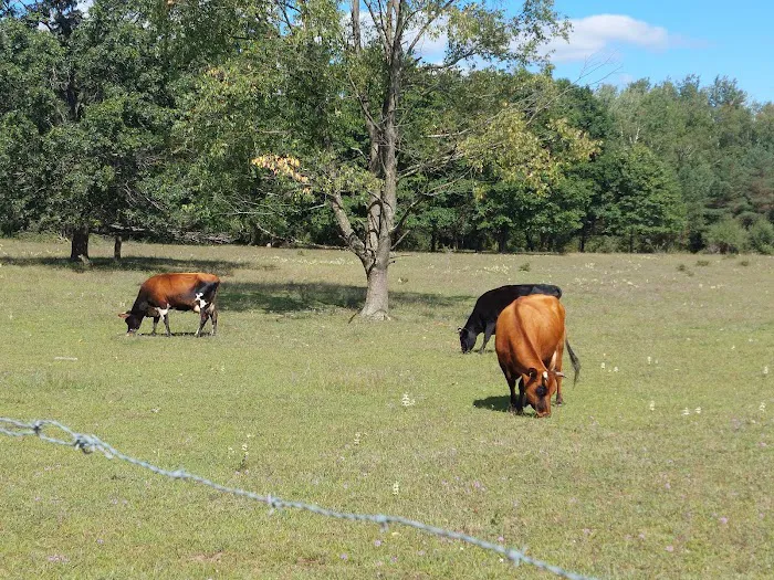 Braxton's Ranch 10
