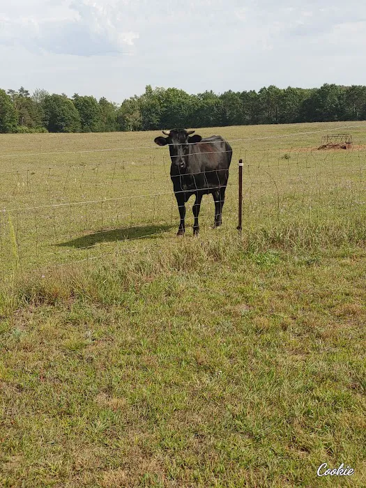 Braxton's Ranch 7
