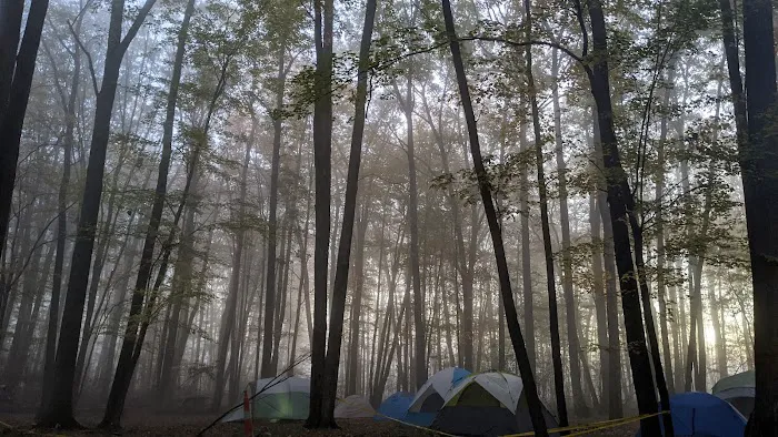Boone Campsite - Camp Rotary 4