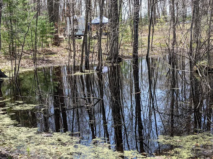 Mud Lake State Forest Campground 7