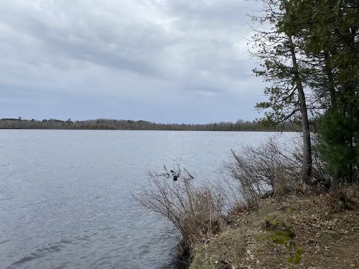Mud Lake State Forest Campground 3