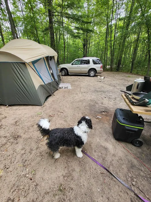 Mud Lake State Forest Campground 8