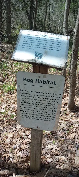 Mud Lake State Forest Campground 6