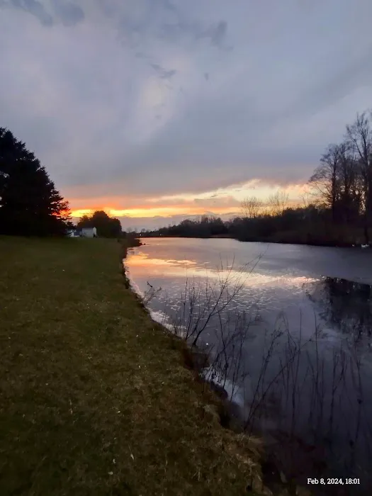 Pineview estates 6