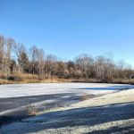Pineview estates