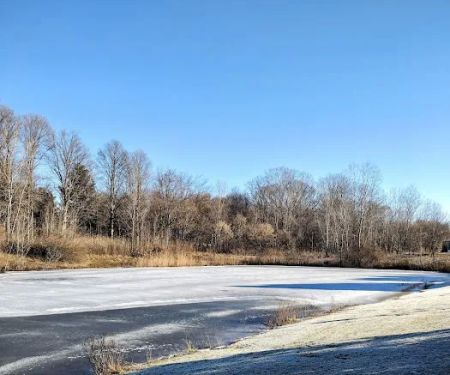 Pineview estates
