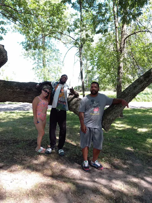 Vanderbilt County Park & Campground 10