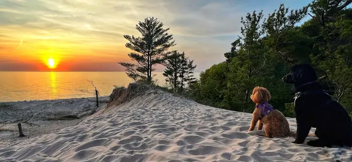 Lake Michigan Family Campground | Fairway to Heaven Disc Golf Course 4