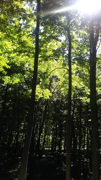 Mason County Campground 7