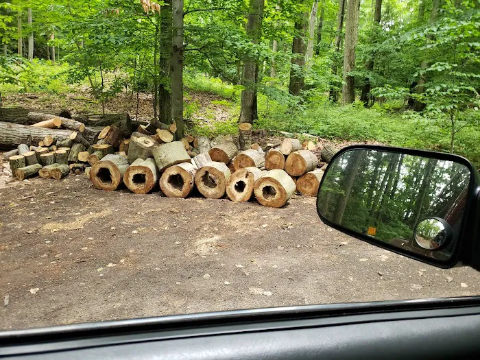 Mason County Campground 5