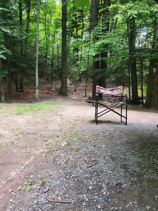 Mason County Campground 1