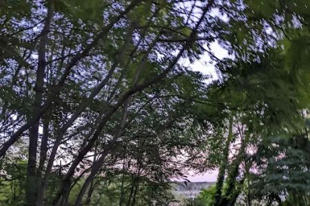 Cartier Park Campground