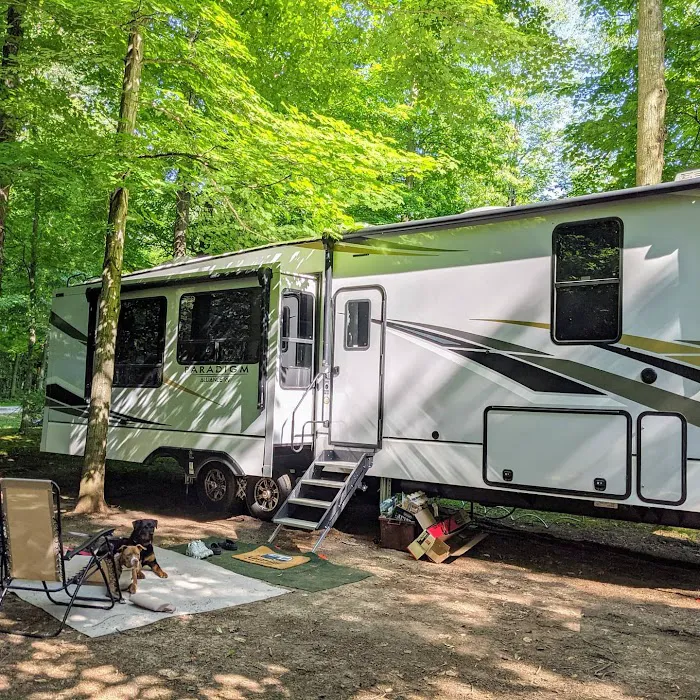 Lakeview Campsite 10