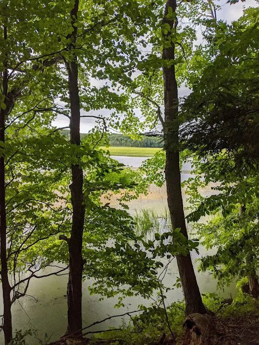 Lakeview Campsite 6