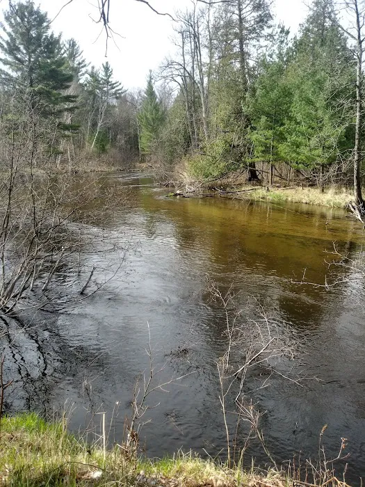 Bear Track Campground 4