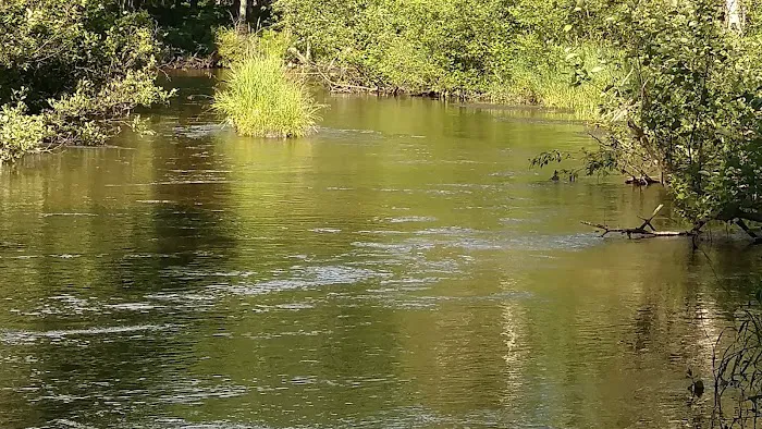 Bear Track Campground 8