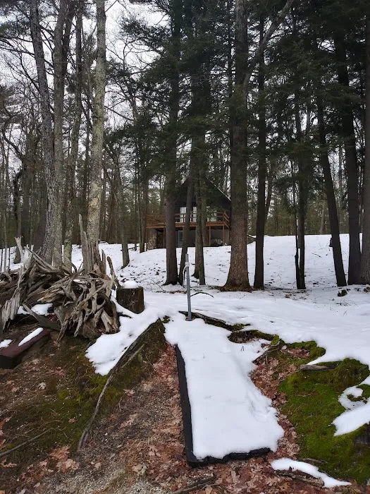 Bear Track Campground 3