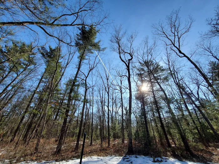 Bear Track Campground 6