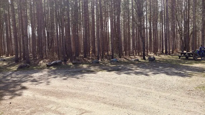Carrieville State Forest Campground 2