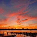 Fort Firelands RV Park