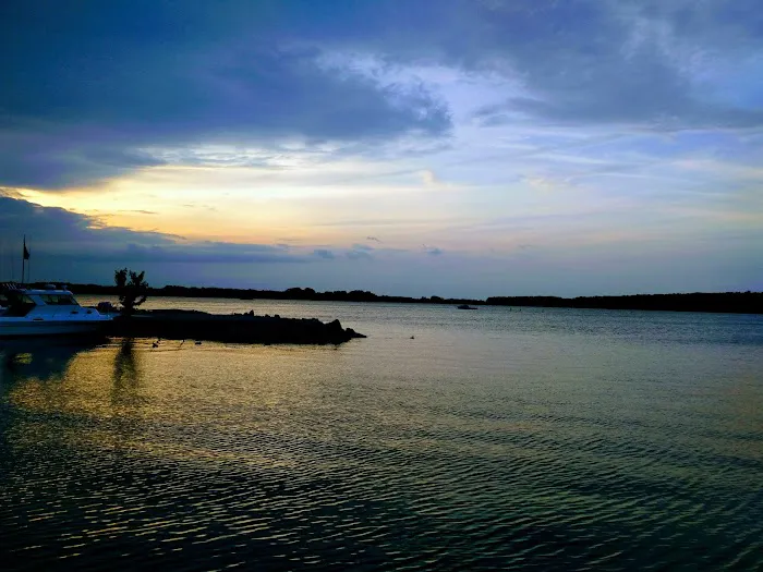Shady Shores RV Park 8