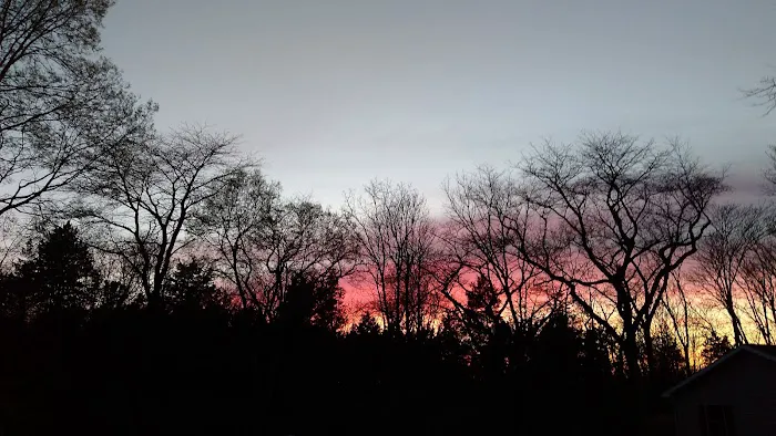 Shade Tree Country RV Park 5
