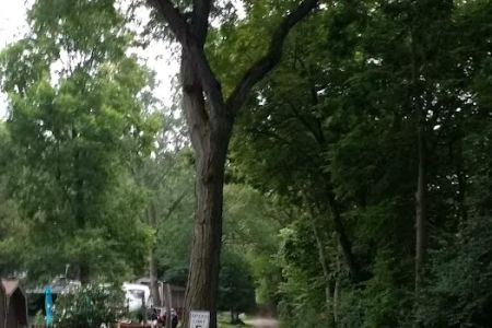 Shade Tree Country RV Park