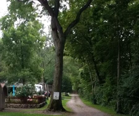 Shade Tree Country RV Park