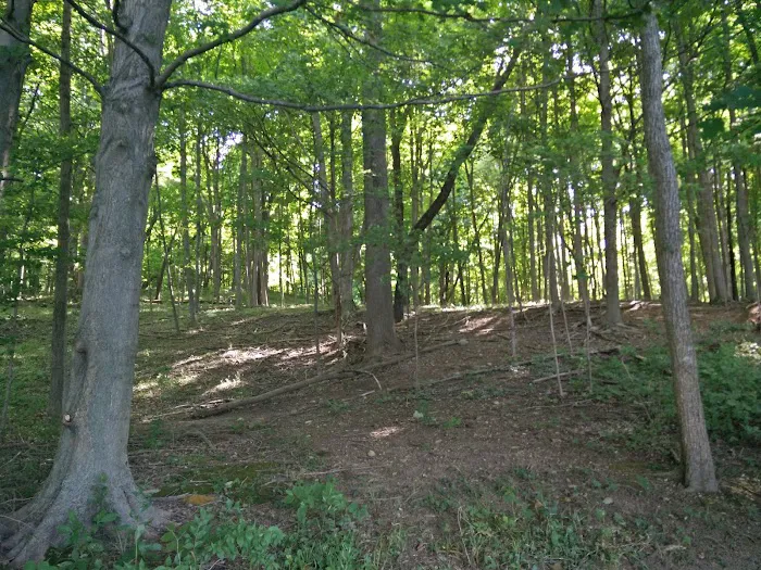 Kiser Lake Campground & Marina 7