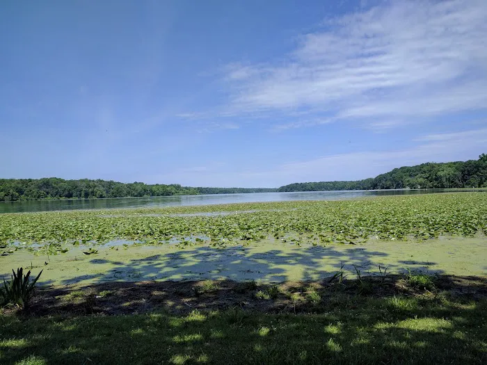 Kiser Lake Campgrounds 2