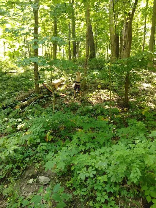 Kiser Lake Campgrounds 9