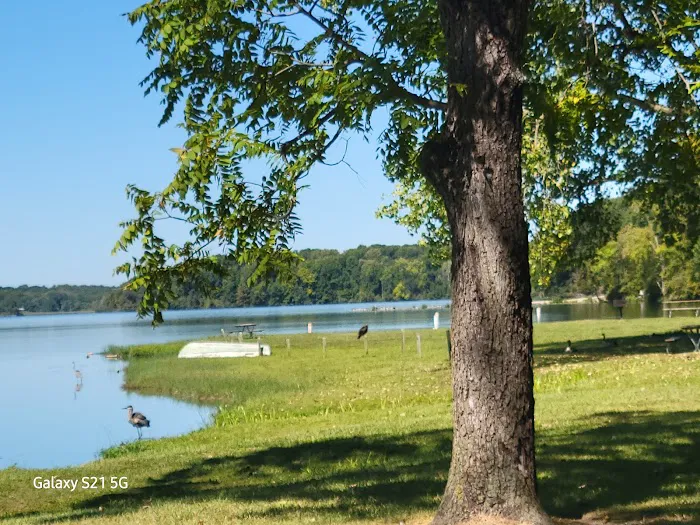 Kiser Lake Campgrounds 8
