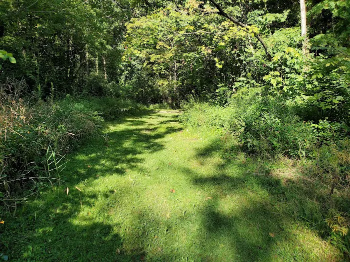 Alum Creek State Park Campground 6