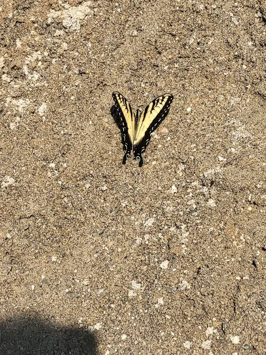 Alum Creek State Park Campground Beach 5