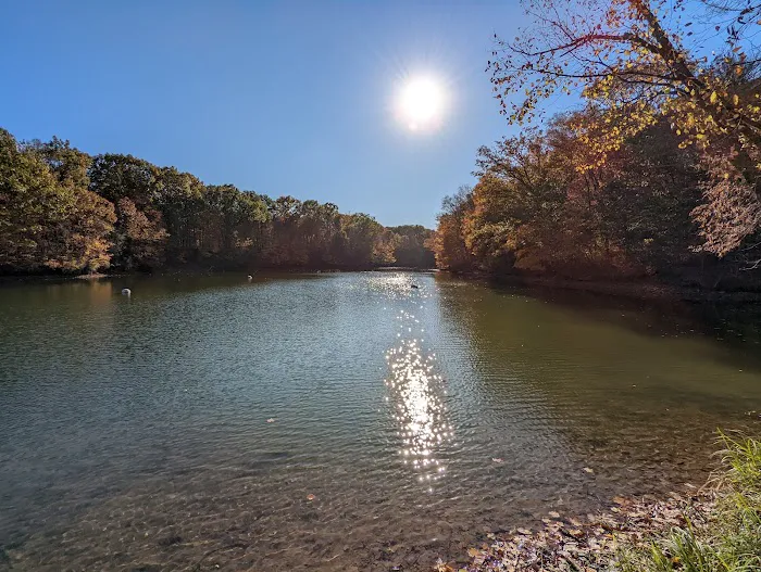 Alum Creek State Park Campground Beach 6