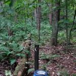 Mohican State Park - Backpack Campsite #1