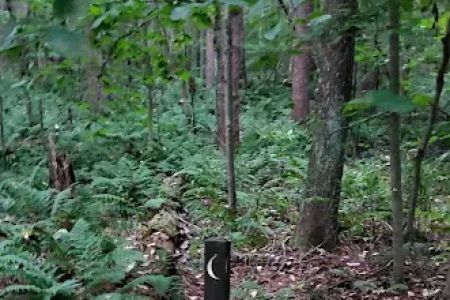 Mohican State Park - Backpack Campsite #1