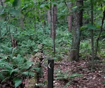 Mohican State Park - Backpack Campsite #1