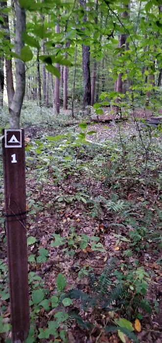 Mohican State Park - Backpack Campsite #1 2