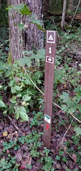 Mohican State Park - Backpack Campsite #1 4