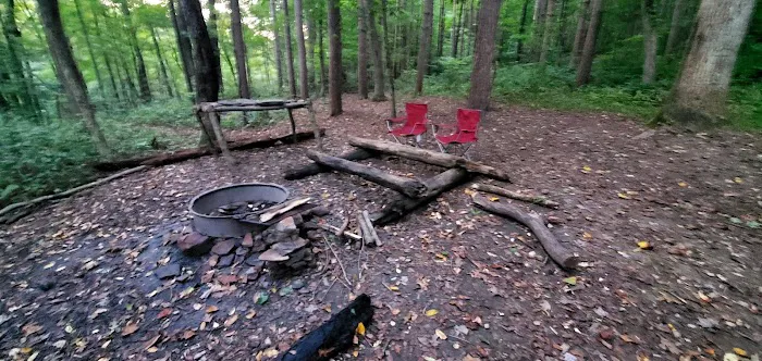 Mohican State Park - Backpack Campsite #1 3