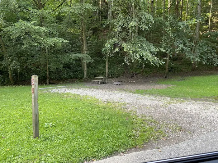 Mohican State Park - Campground B 4
