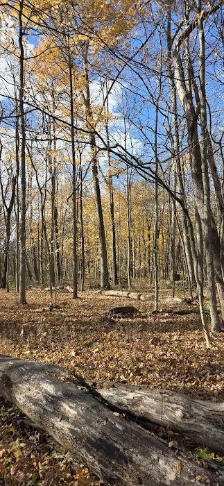 Mohican State Park - Campground B 5