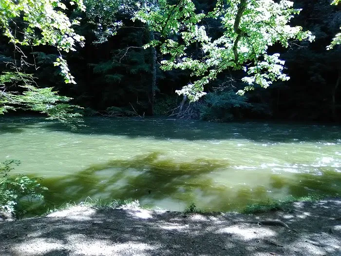 Mohican State Park - Campground B 6