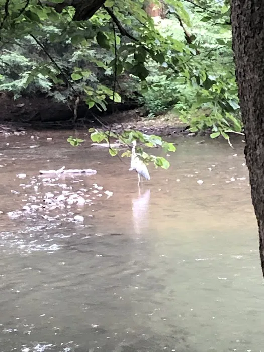 Mohican State Park - Campground B 9
