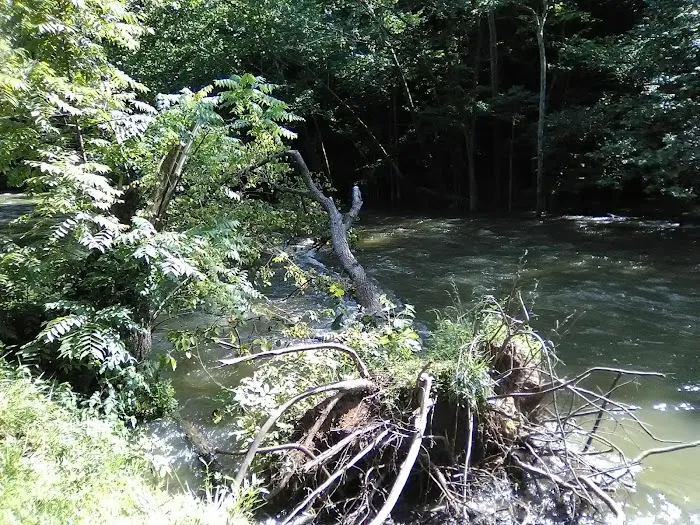 Mohican State Park - Campground B 7