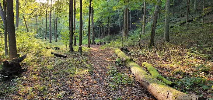 Mohican State Park - Backpack Campsite #2 4