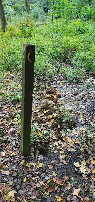 Mohican State Park - Backpack Campsite #2 3